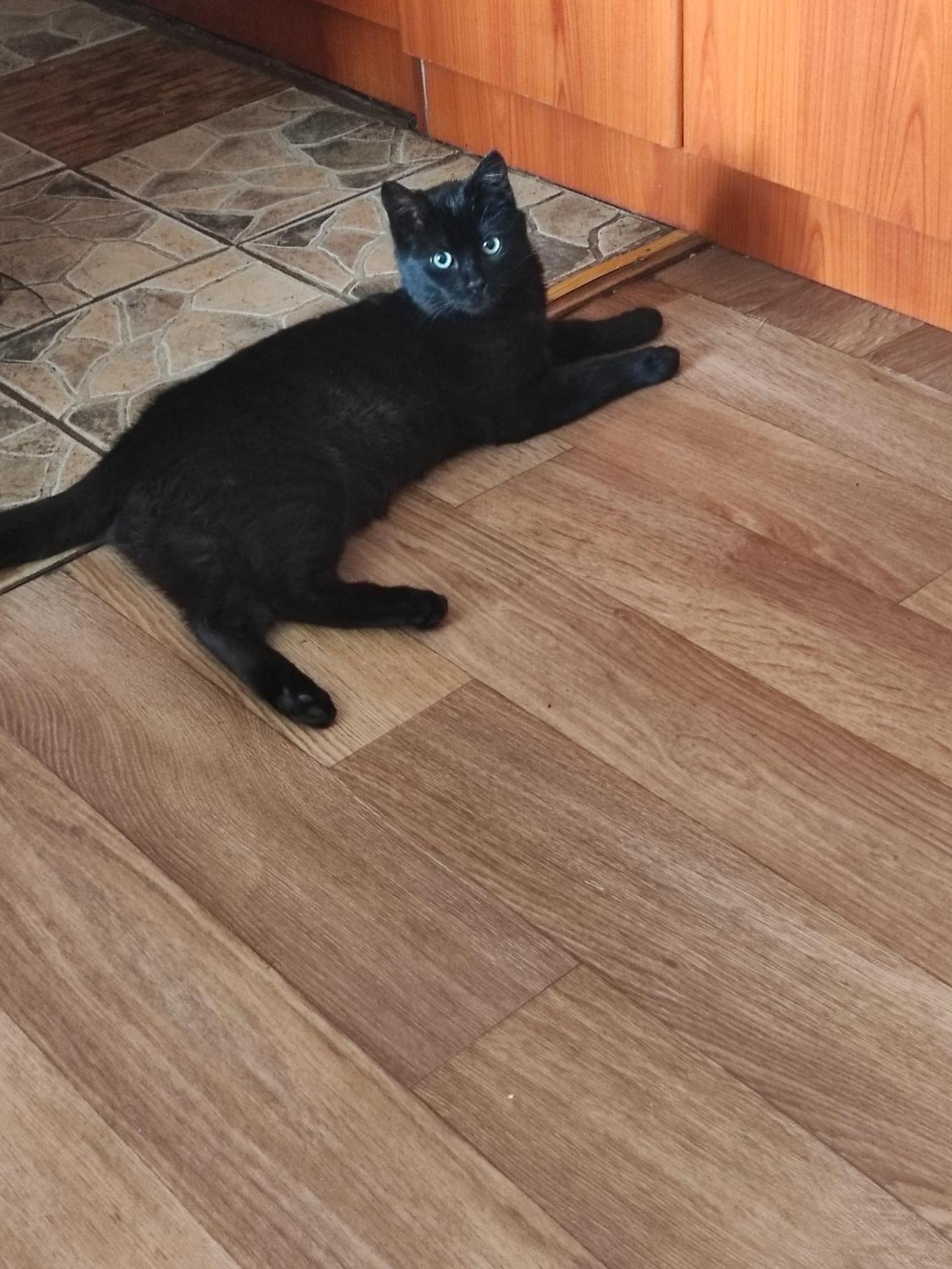Durmitorska Koliba Sa Kupatilom Villa Žabljak Cameră foto